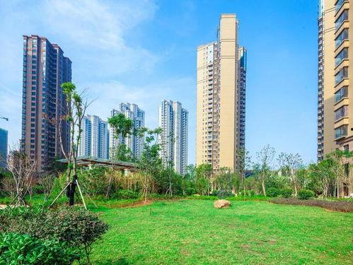 武汉住宅爆料事件最新消息,最新进展揭秘,业主维权真相曝光
