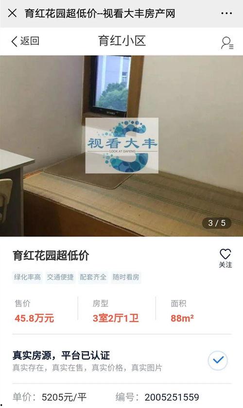 大丰房产爆料最新消息,揭秘神秘项目,房价走势再引关注!